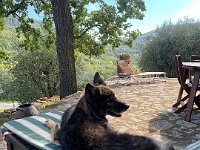 Shani